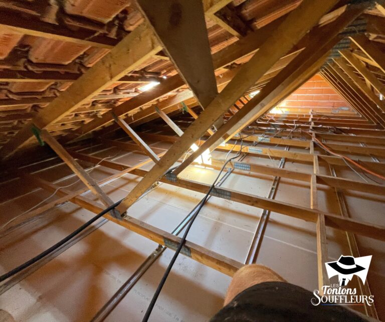 nettoyage combles blagnac