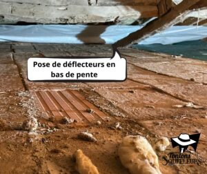 plafonnette 31 isolation