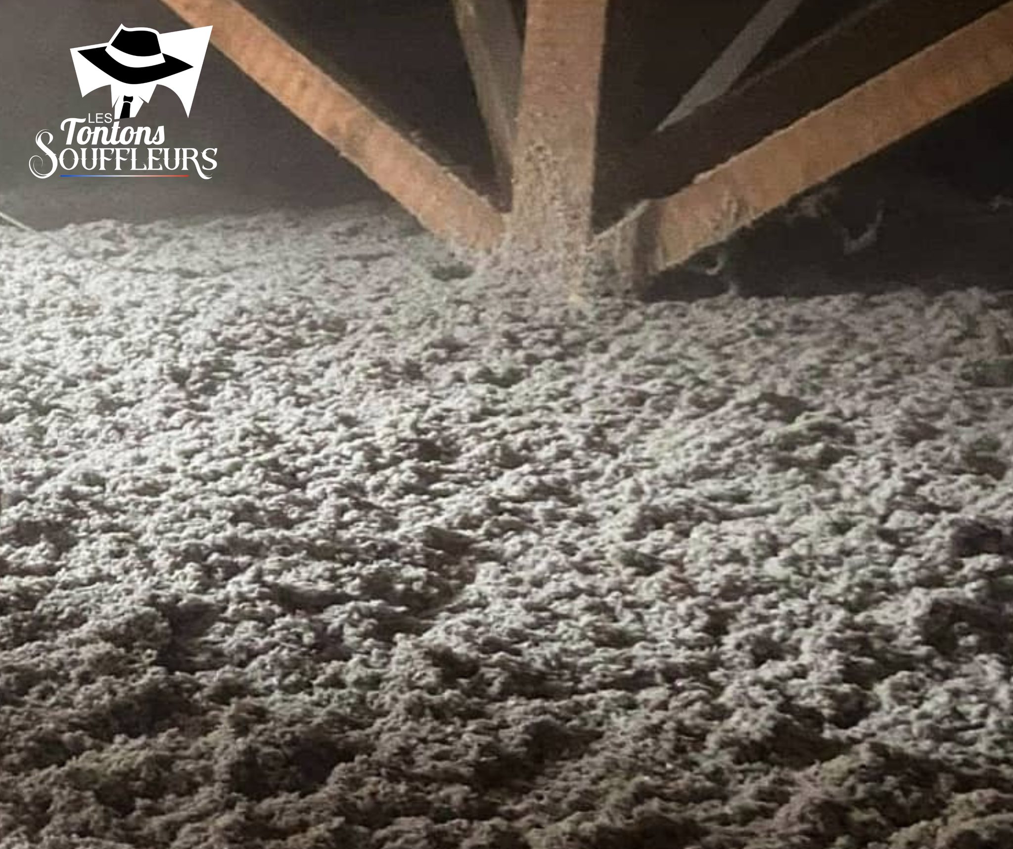 ouate cellulose igloo apres soufflage renovation globale garidech