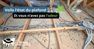 Plafond en plaques de placo souillé de crottes de rats et de traces d'urine, avec câbles électriques et gaines dans les combles, après retrait de l'isolant